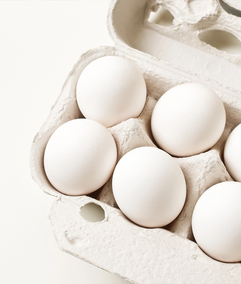 białe jaja kurze